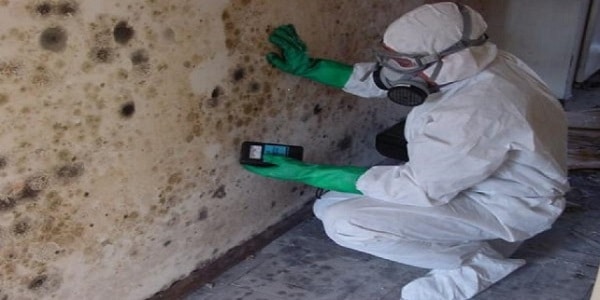 Mould Inspection services Ottawa