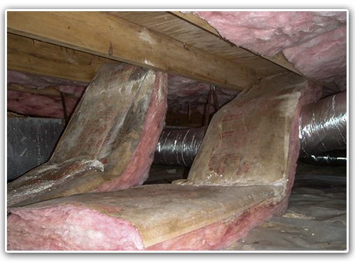 wet insulation