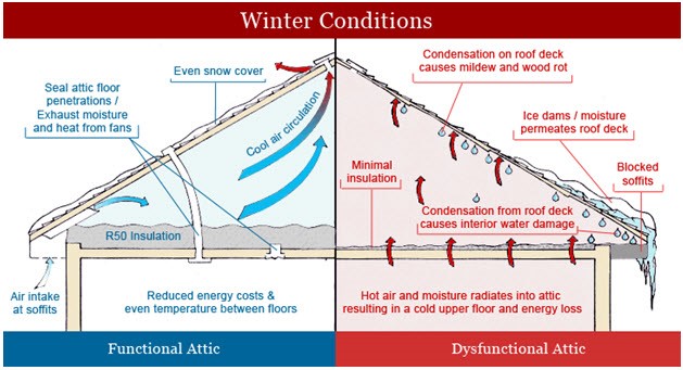 attic conditions for mold